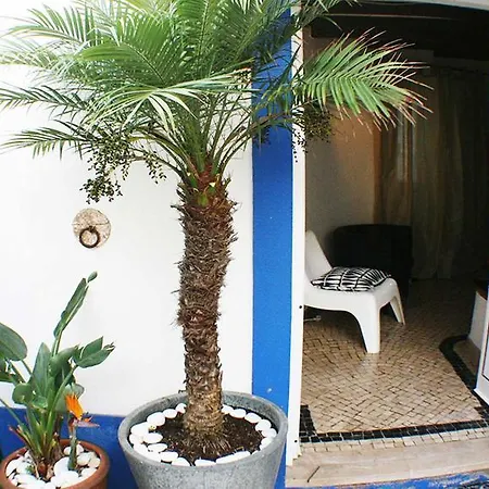 Elegant House In Ericeira's Center Vakantiehuis Ericeira